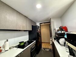 RiverParc Residence (D19), Condominium #561301881